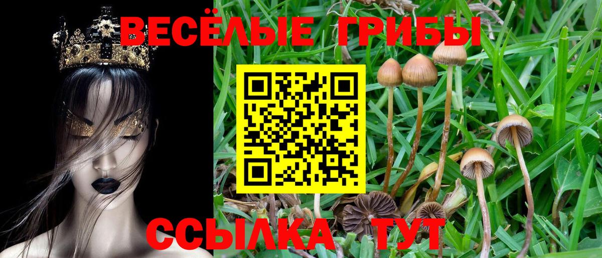 Галлюциногенные грибы Magic Shrooms Луховицы