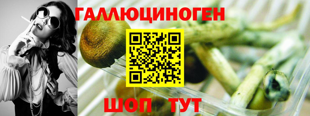 Луховицы  Псилоцибиновые грибы Magic Shrooms  Вход с VPN 